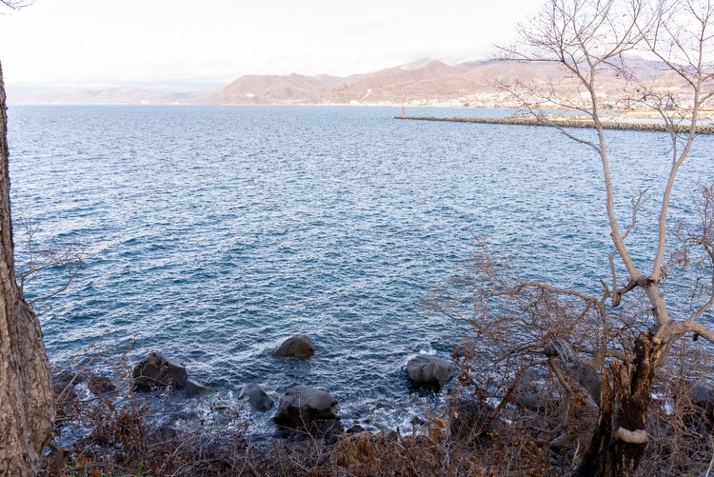 #6 toya tiny cabin 3