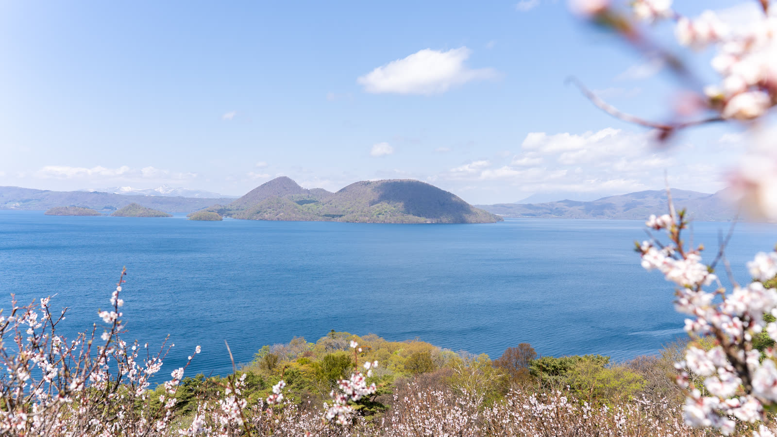 Plum blossoms at Sobetsu Park with Lake Toya and Nakajima