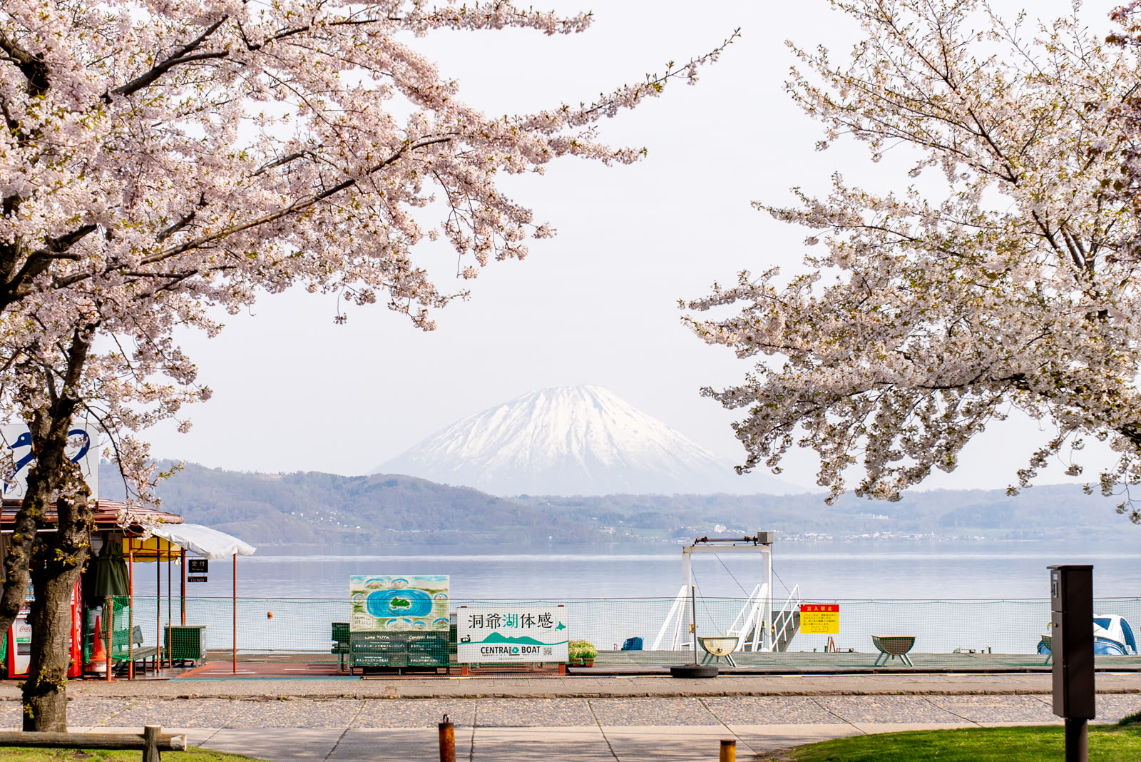 Lake Toya and Mount Usu seen through cherry blossoms