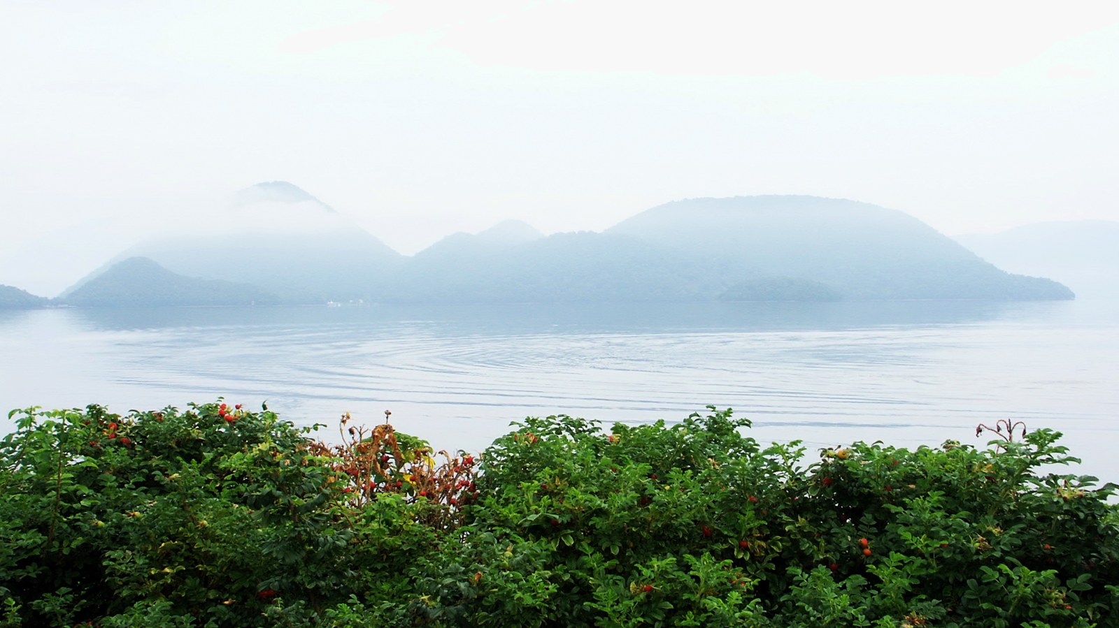 月浦の湖畔から霧の中島を望む